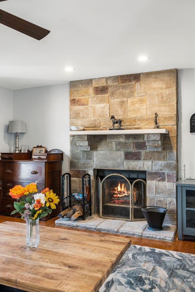 room details featuring a stone fireplace