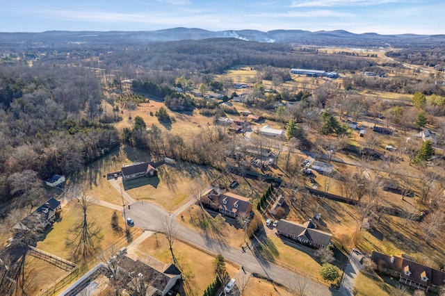 birds eye view of property featuring a mountain view