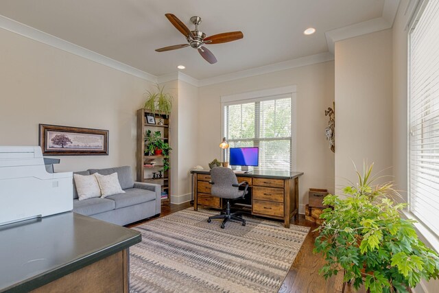 office space featuring crown molding, hardwood / wood-style floors, and ceiling fan