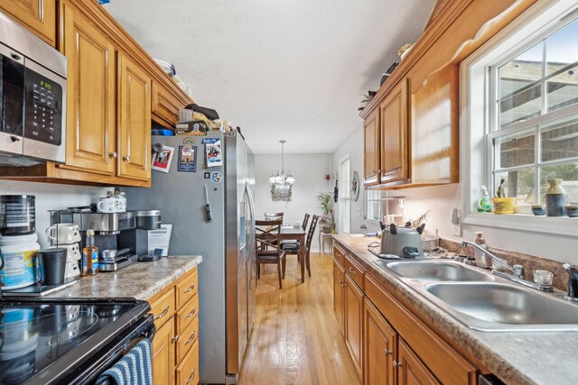 kitchen featuring appliances with stainless steel finishes, a wealth of natural light, decorative light fixtures, sink, and light hardwood / wood-style floors