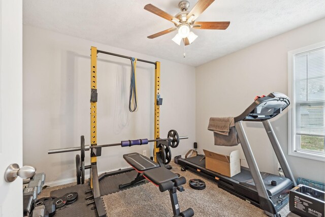 exercise room featuring carpet and ceiling fan