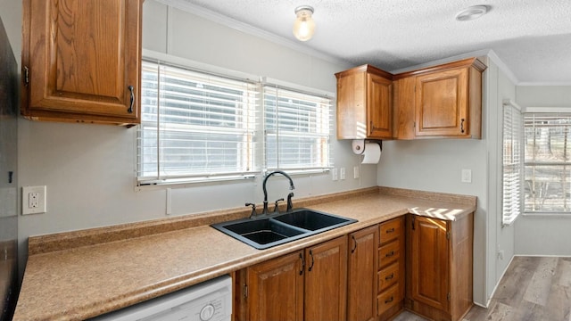 kitchen featuring sink, crown molding, light hardwood / wood-style flooring, white dishwasher, and a textured ceiling