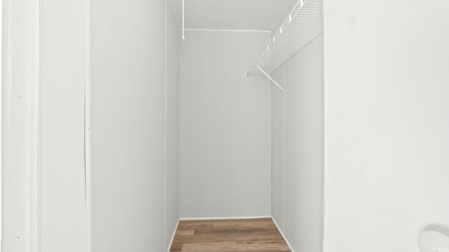 walk in closet with wood-type flooring