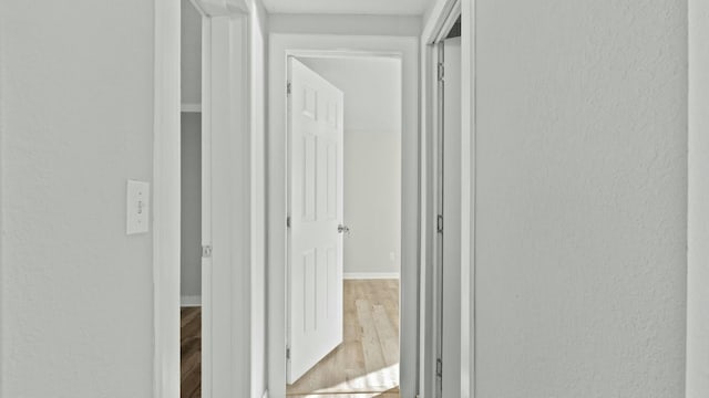 corridor featuring hardwood / wood-style floors