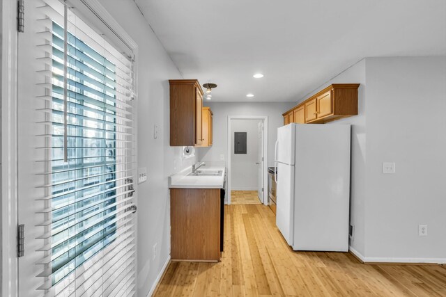 kitchen featuring white refrigerator, electric panel, sink, and light hardwood / wood-style flooring