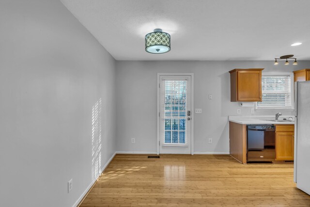 kitchen with a healthy amount of sunlight, dishwasher, sink, and light wood-type flooring