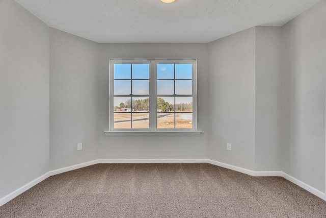 spare room with carpet floors, baseboards, and a textured ceiling