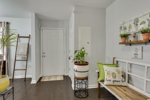 entrance foyer featuring dark hardwood / wood-style flooring