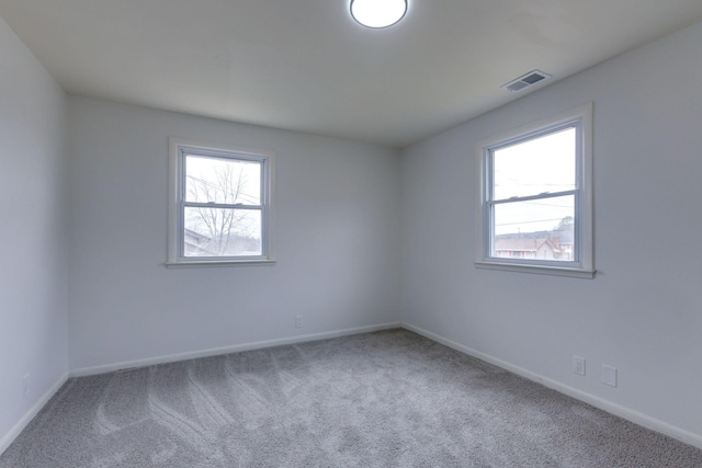 carpeted spare room featuring a wealth of natural light