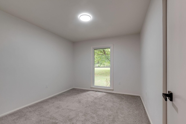 spare room featuring carpet floors