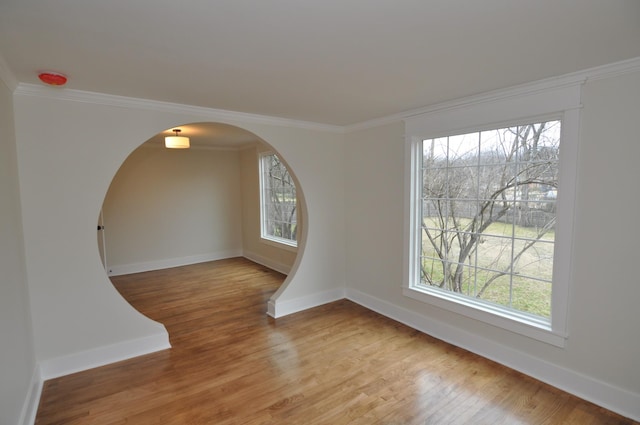 unfurnished room with ornamental molding, a wealth of natural light, and light wood-type flooring