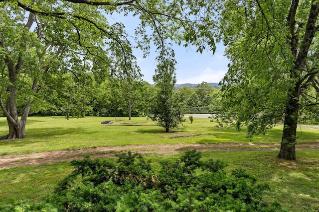surrounding community featuring a yard