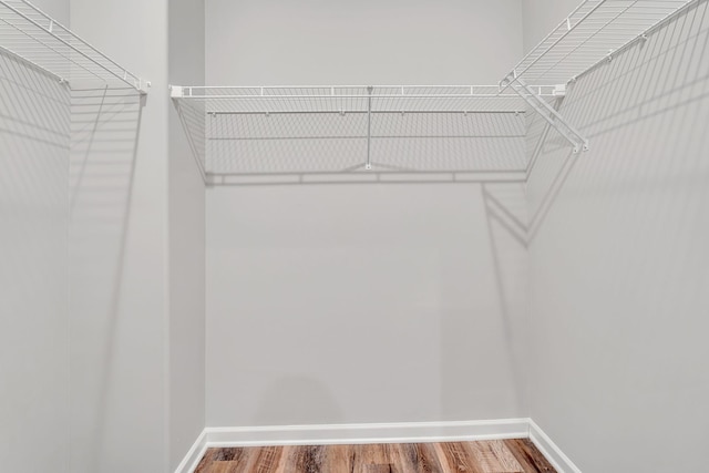 walk in closet with wood finished floors