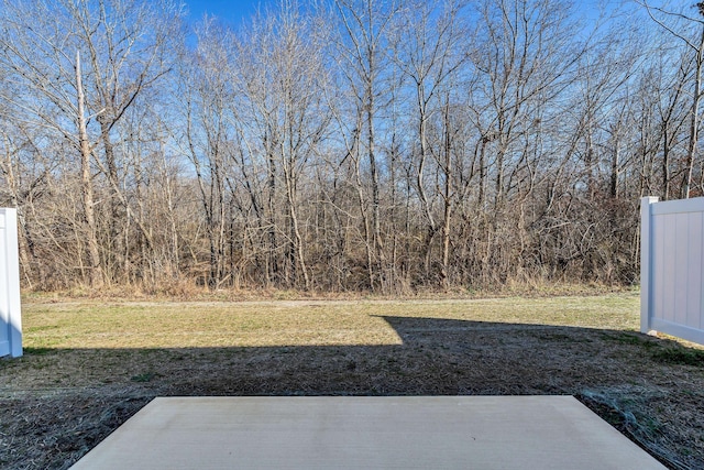 view of yard with a patio area