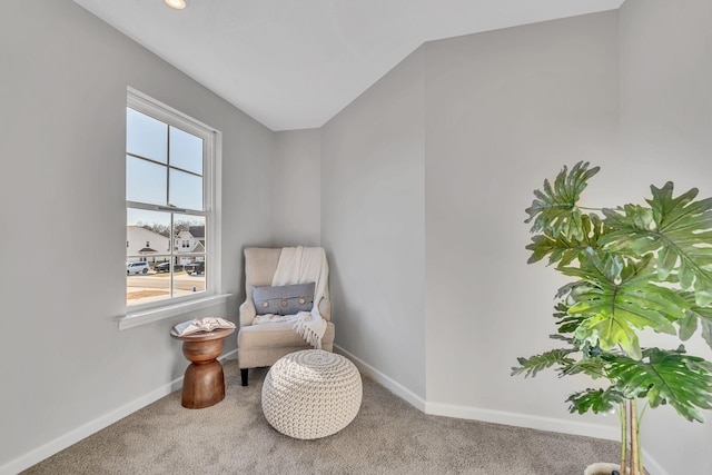 living area featuring carpet floors