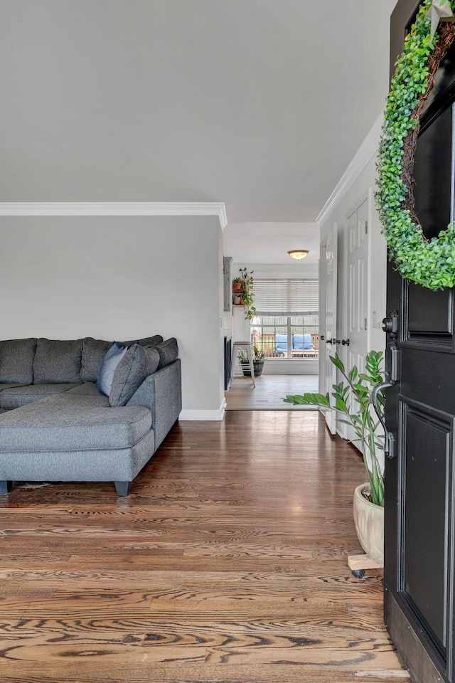 living room with hardwood / wood-style floors and ornamental molding