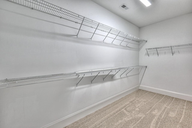 spacious closet featuring carpet