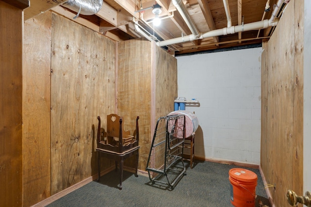unfinished basement with carpet flooring