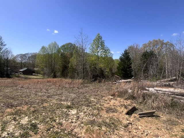 view of local wilderness featuring a wooded view