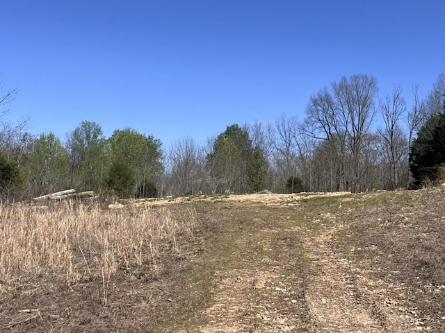 view of local wilderness