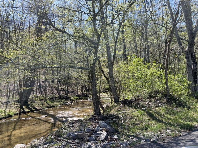 view of local wilderness