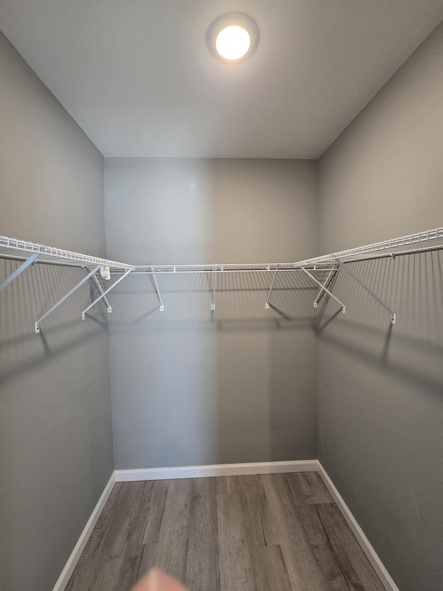 spacious closet with hardwood / wood-style flooring