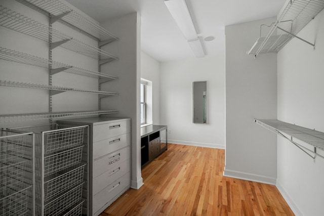 spacious closet featuring light wood-type flooring