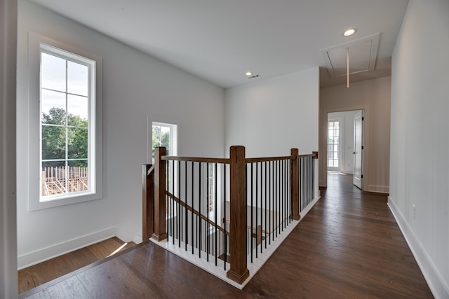 hallway with dark wood-type flooring and a healthy amount of sunlight