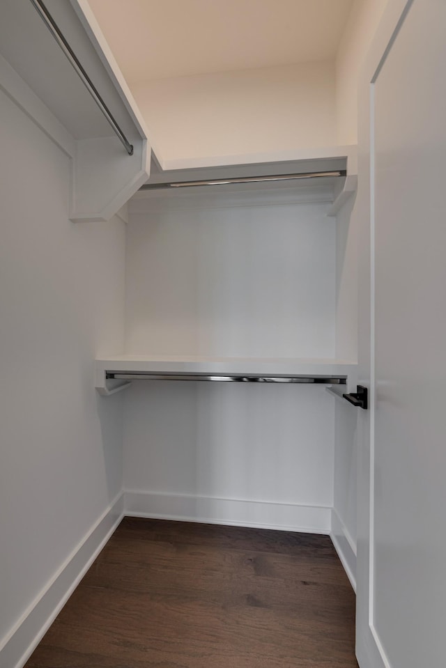 spacious closet with dark hardwood / wood-style flooring