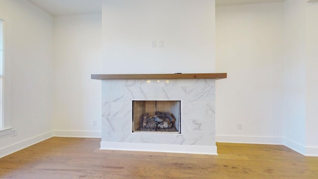 room details with hardwood / wood-style flooring and a premium fireplace