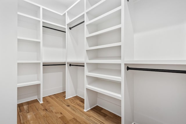 spacious closet with hardwood / wood-style flooring