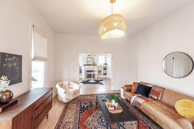 living room with light hardwood / wood-style floors