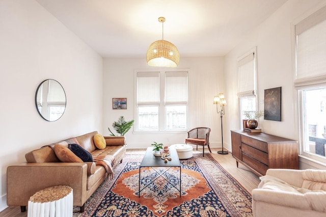 living room with hardwood / wood-style floors