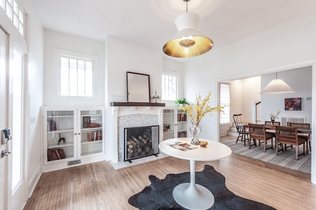 living room featuring wood-type flooring and a fireplace