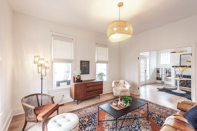 living room with hardwood / wood-style floors and a wealth of natural light