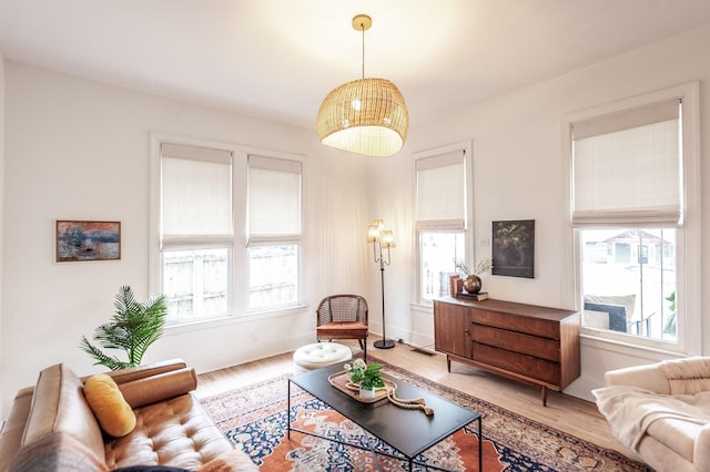 living room featuring hardwood / wood-style floors