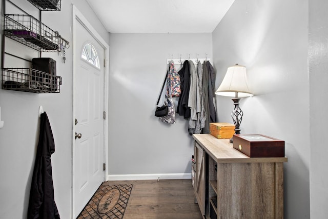 mudroom featuring dark wood-type flooring