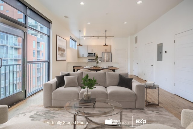 living room featuring track lighting, plenty of natural light, electric panel, and light wood-type flooring