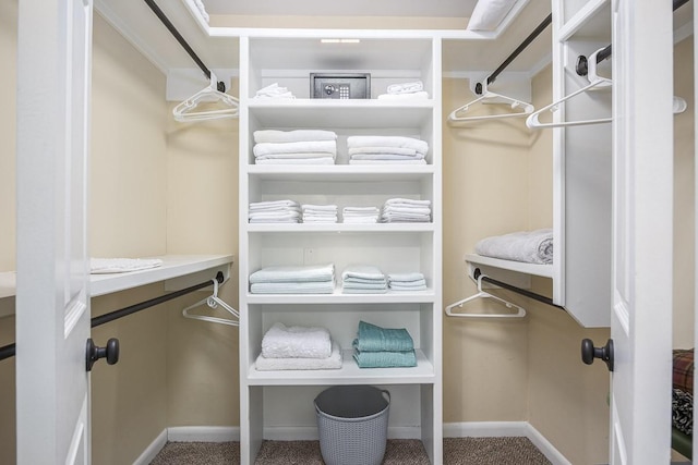 view of spacious closet