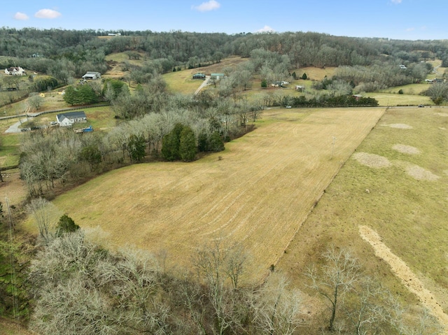 Listing photo 3 for 0 Leipers Creek Rd, Williamsport TN 38487