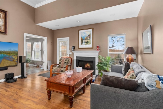 living room with hardwood / wood-style flooring and ornamental molding