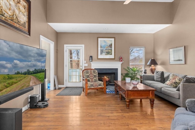 living room with light hardwood / wood-style flooring