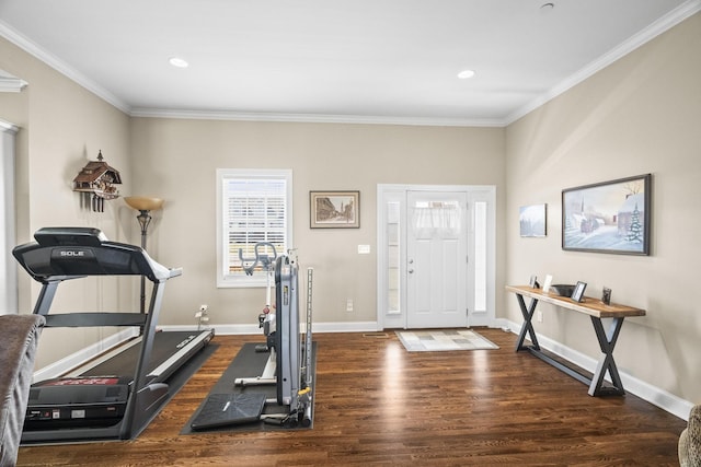 workout area featuring crown molding and dark hardwood / wood-style floors