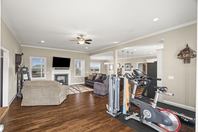 exercise room featuring crown molding, dark hardwood / wood-style floors, and ceiling fan