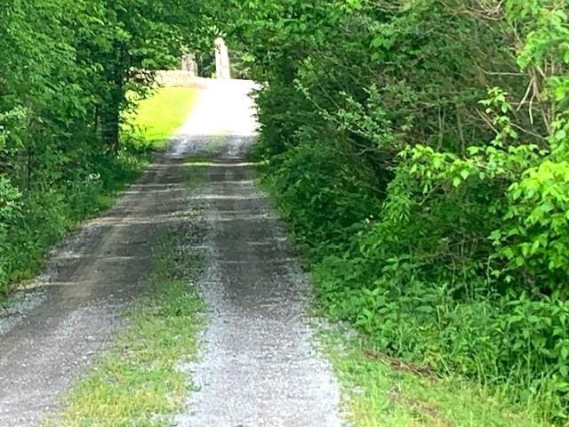 view of road