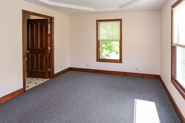 empty room with carpet floors and a raised ceiling