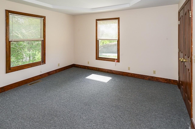 carpeted empty room featuring a raised ceiling and a healthy amount of sunlight