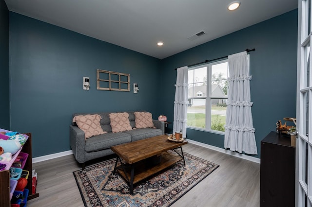 living room featuring wood-type flooring