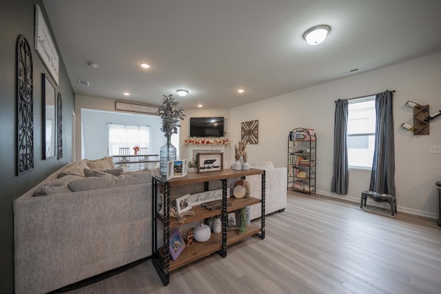 living room with light wood-type flooring