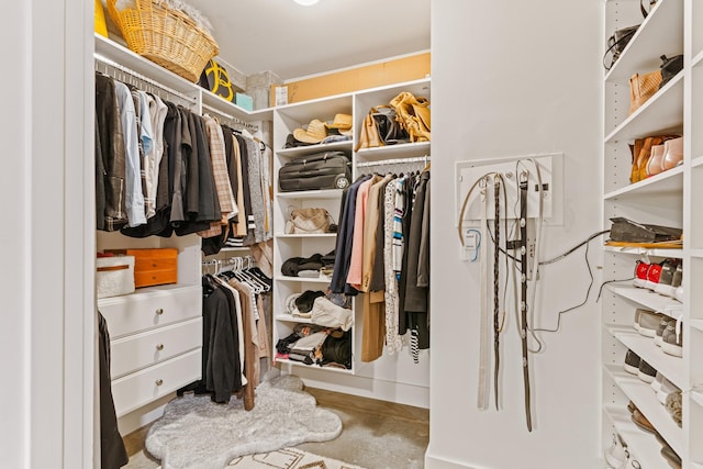 view of spacious closet